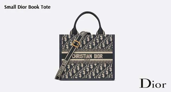 Small Dior Book Tote, dior